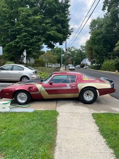 49254 79 trans am diecast care