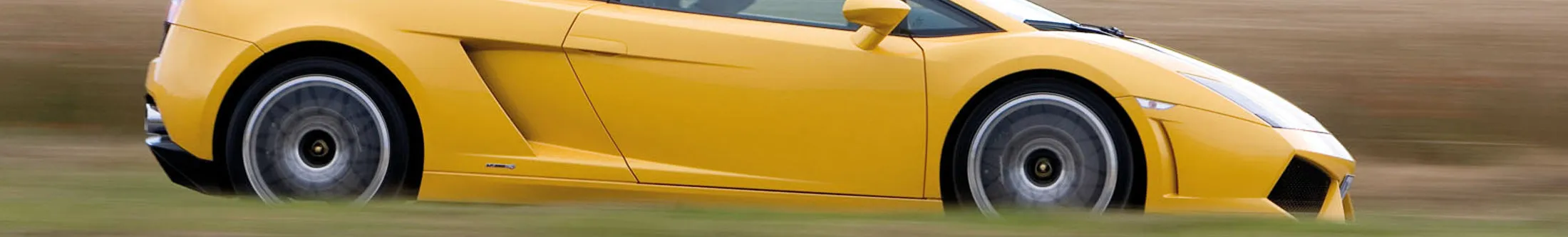 49314 gallardo diecast detail