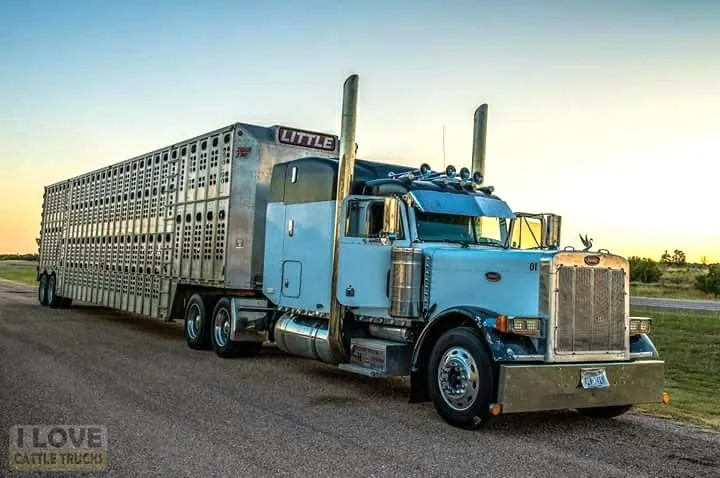 49418 peterbilt 379 diecast truck image5